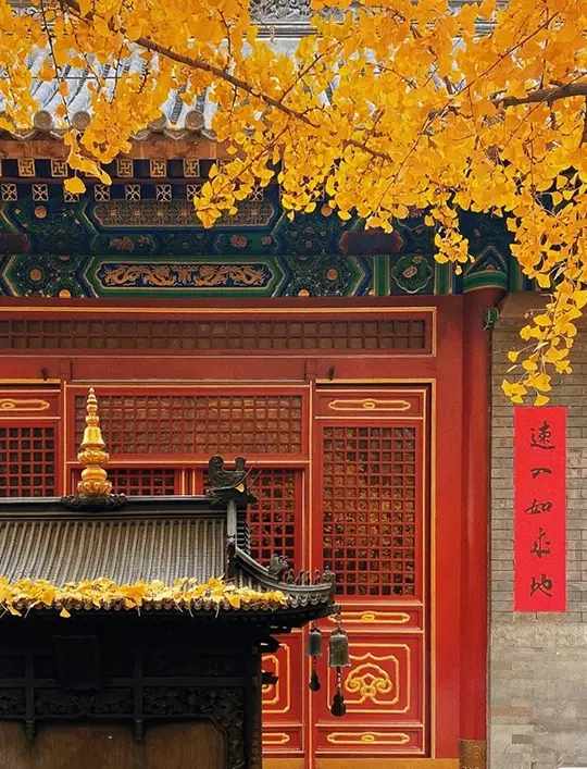 Lingguang Temple of Badachu in Beijing | An ancient temple in the capital that has survived for thousands of years!