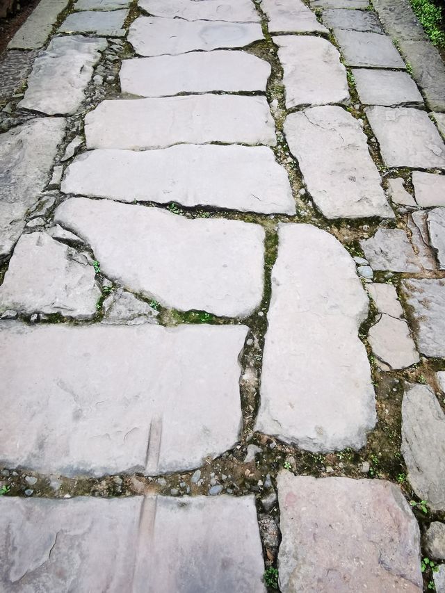 金牛古道西風烈
