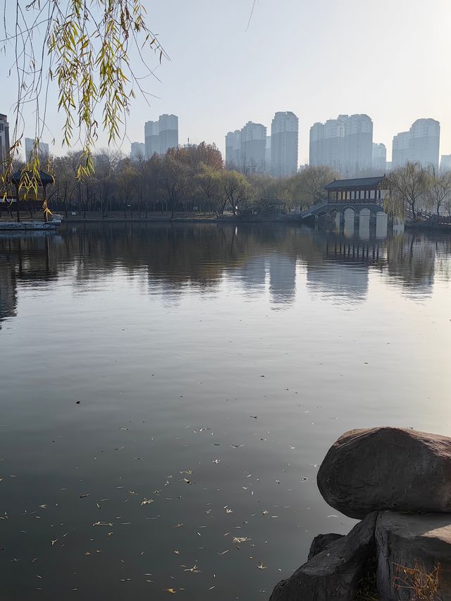 德州董子園景區