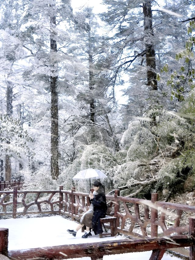 不是北海道去不起，而是成都3h看雪更性價比