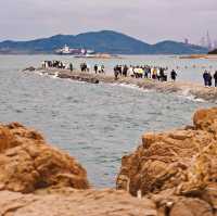 不可錯過的青島浪漫進行時『山東•青島八大關』