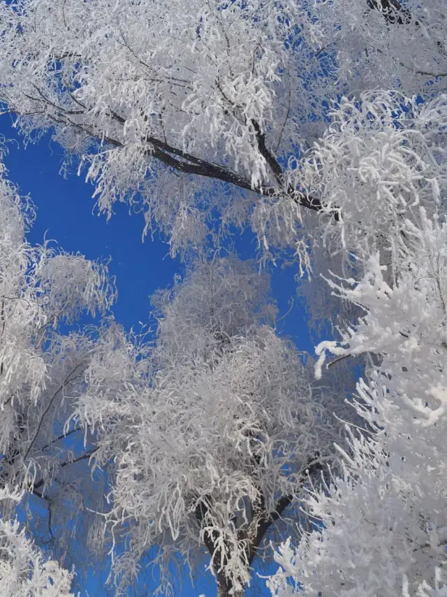 The ultimate romantic place in Jilin, Northeast China: Xiaowusong Island