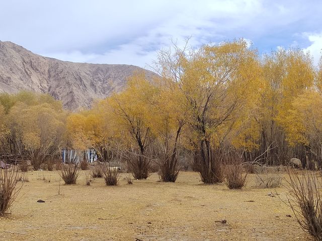 塔什庫爾幹的秋天 風景比照片美