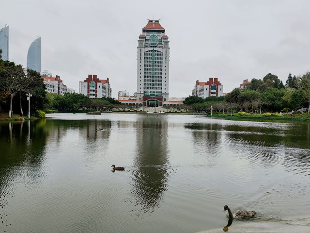 我眼中的校園（三）廈門大學