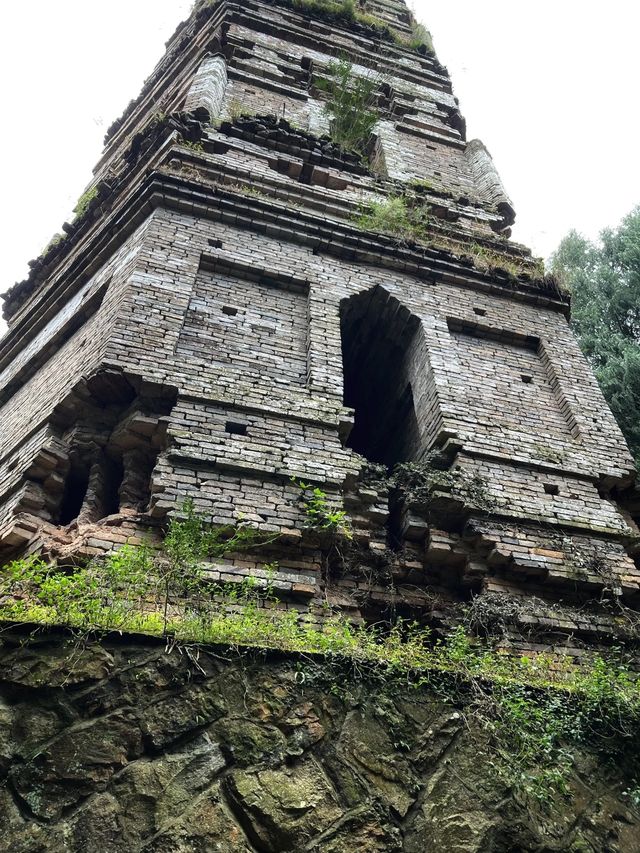 在稻子黃柿子紅的時節去國清寺啦