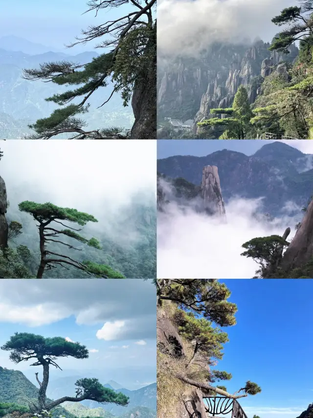 ไปที่ภูเขาสามครั้งในชีวิต