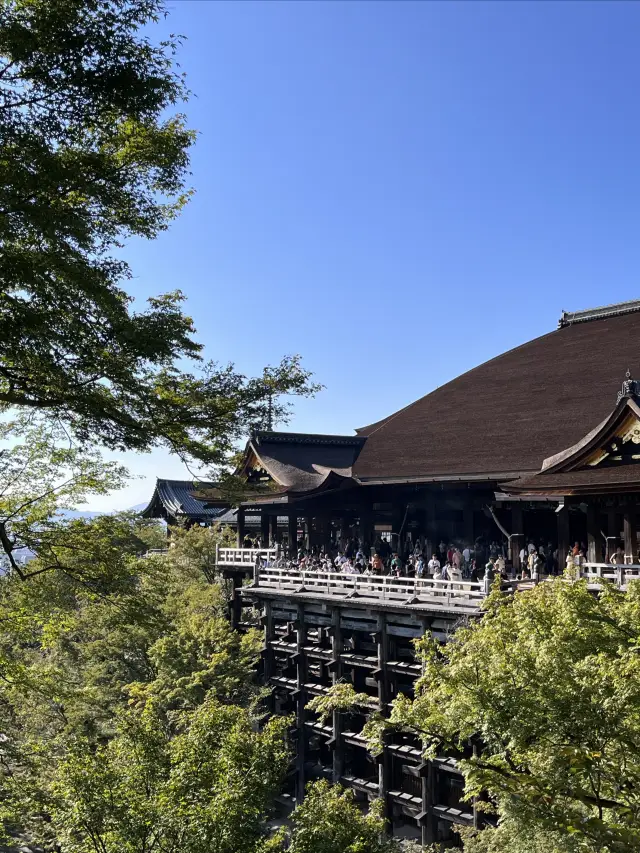 Gourmet's Kyoto Osaka Two-Day Tour｜Kyoto is too delicious