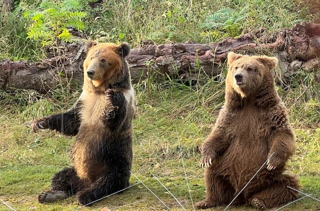 武漢動物園去了哇塞⊙ω⊙