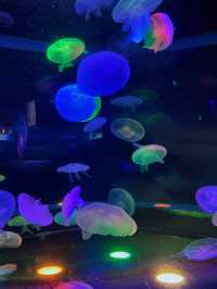北京夢幻海底世界，氛圍感拉滿