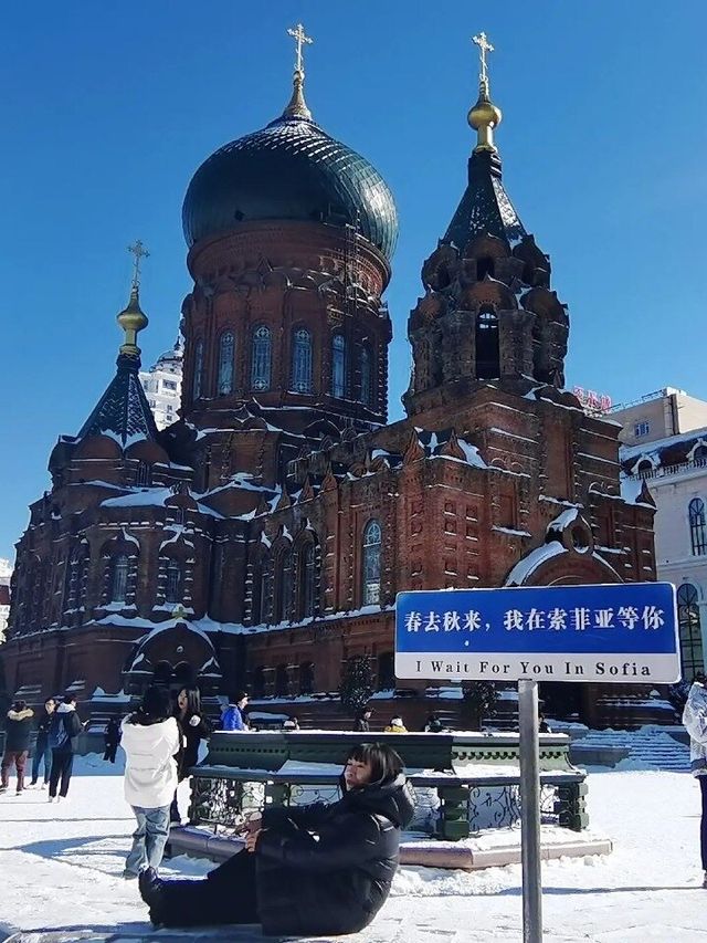 和朋友報了個哈爾濱旅行團，沒想到…