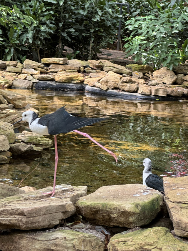 印尼縮影公園