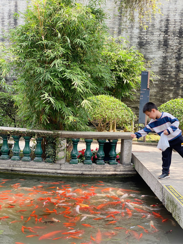 順德北滘遛娃好去處！園林式景觀餵魚自由