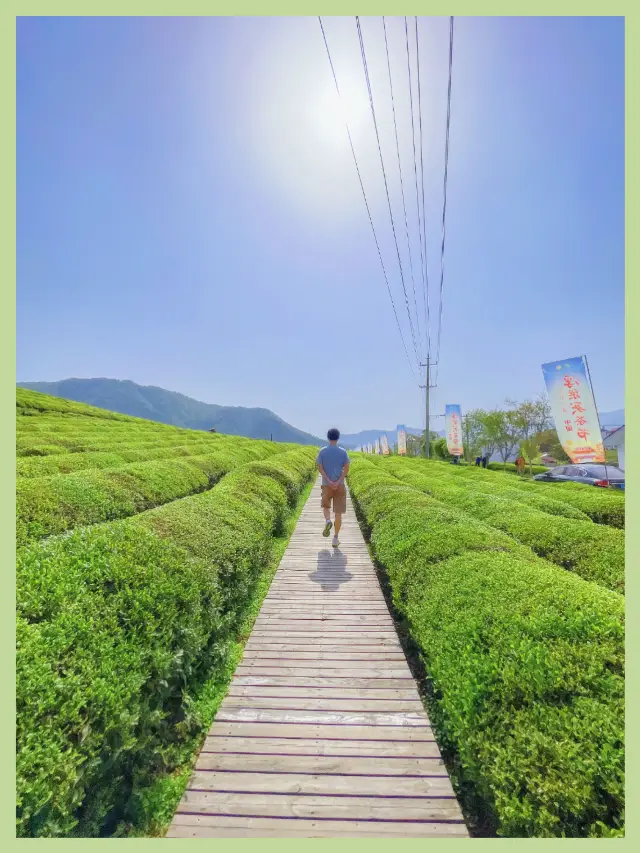 Traveling in Jingdezhen, whenever the earth's lamp falls on the horizon, it has already fallen into your heart