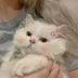 LunaWhisper