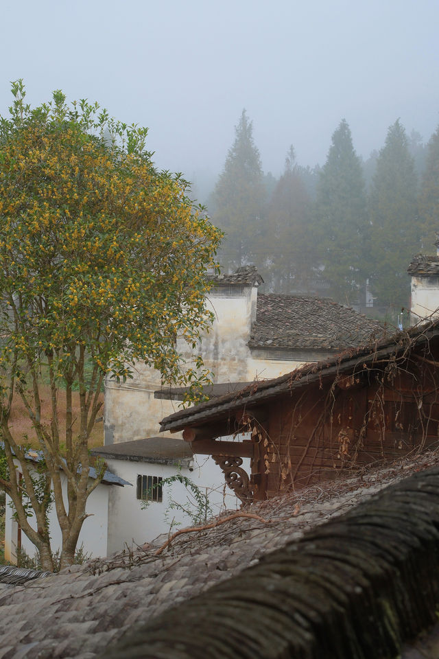 「北有喬家大院，南有思溪延村」