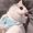 Benjamin Bell_65