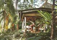 Bali's Canopy Retreat