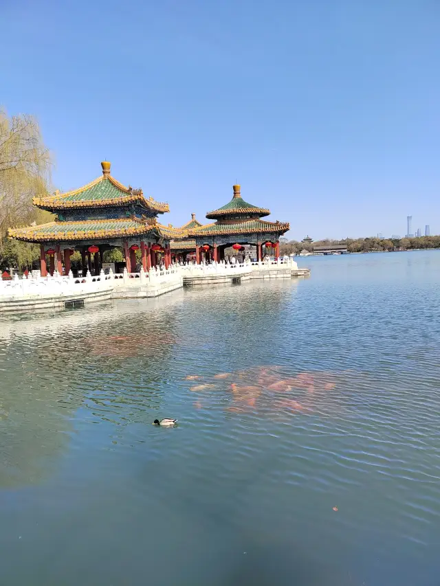 北京の北海公園 早春の三月 驚蟄と春分の間