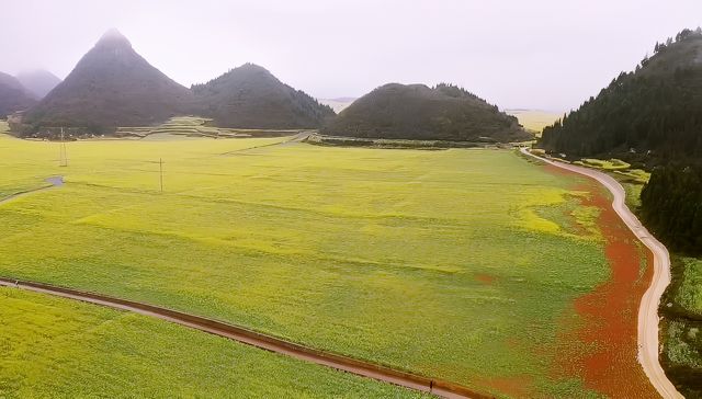 滇東桂自由行（2）/油菜花田的天花板金雞峰叢