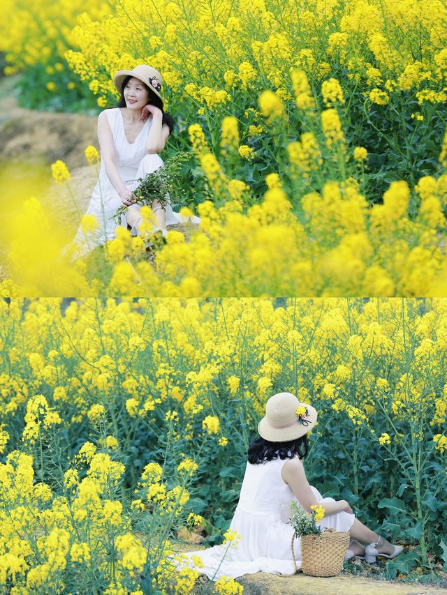 上春山 賞春花 荣縣五里坡春色撩人