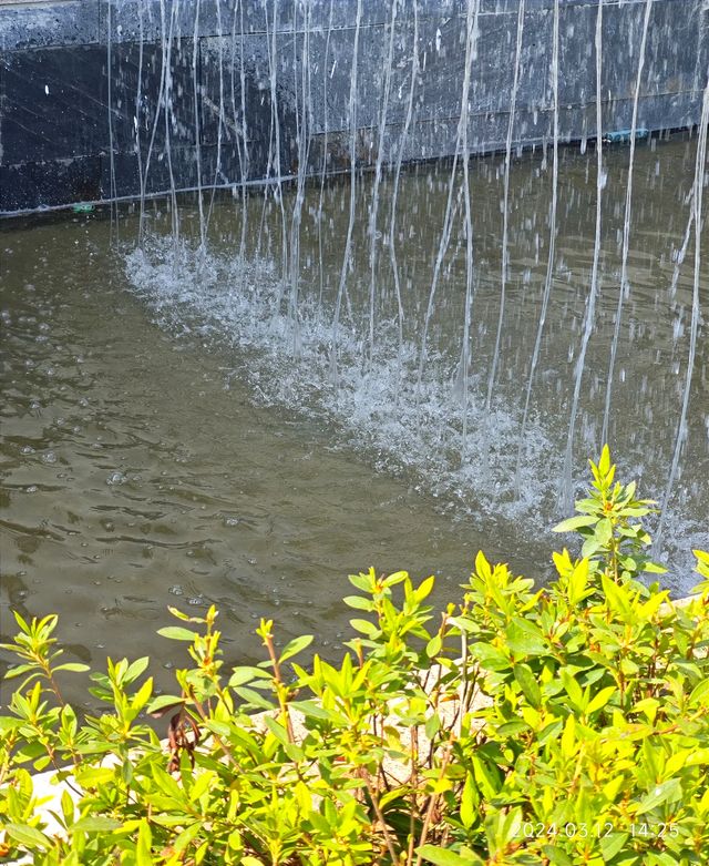 溫州小烏鎮？平陽 鳴山村