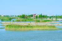 漕涌郊野公園，值得擁有