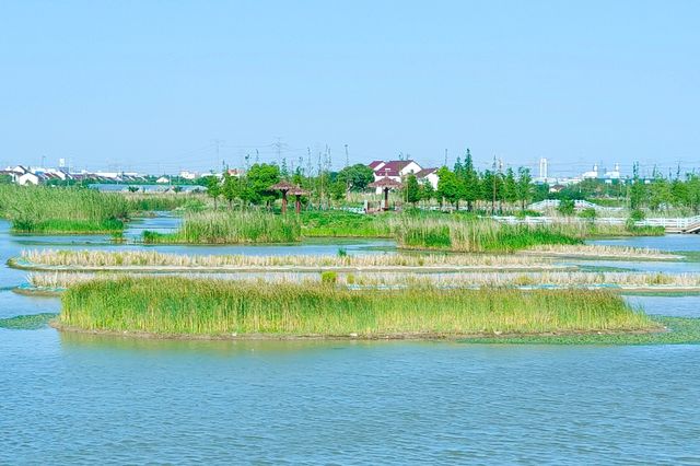 漕涌郊野公園，值得擁有