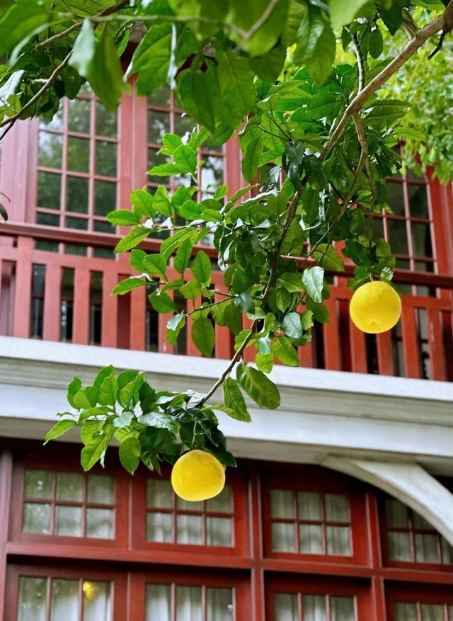 上海思南公館，花園洋房的集中地！真的太絕了