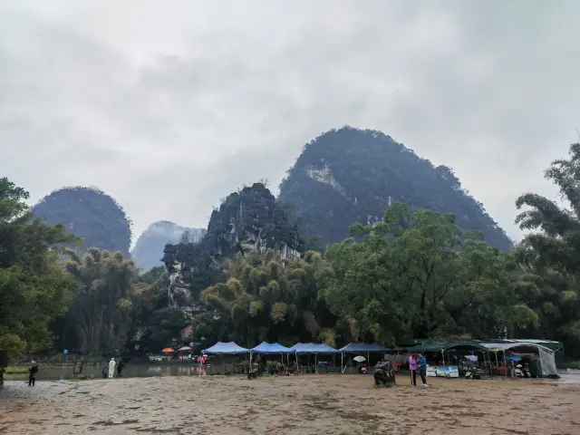 震撼！1400多年的古榕樹