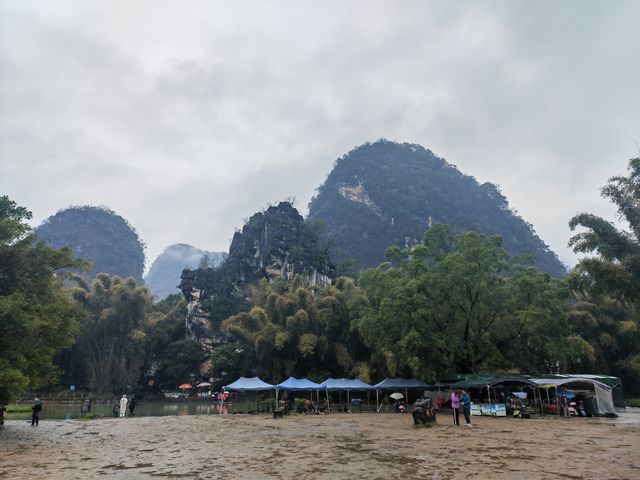 震撼！1400多年的古榕樹