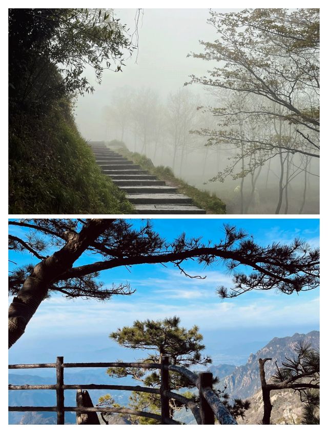 隨緣而來，隨心而至：九華山，讓心靈棲息的聖地