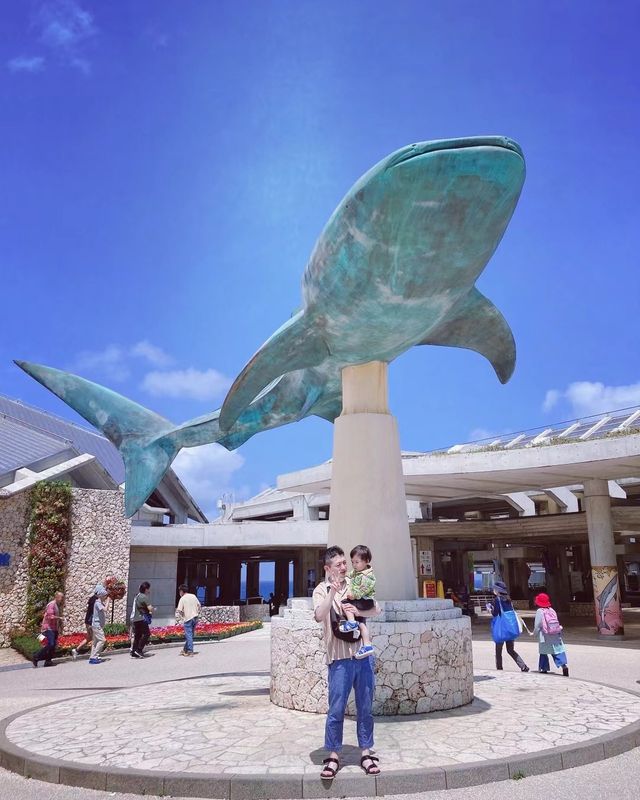 沖繩海洋館與海的完美邂逅：一次不可錯過的旅行