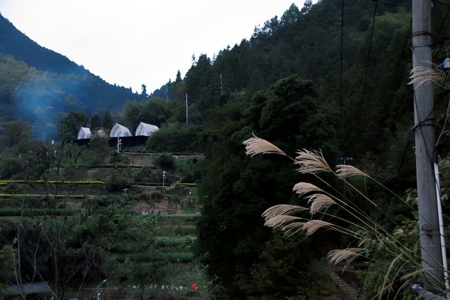 東北人的山居民宿和茶葉探險記