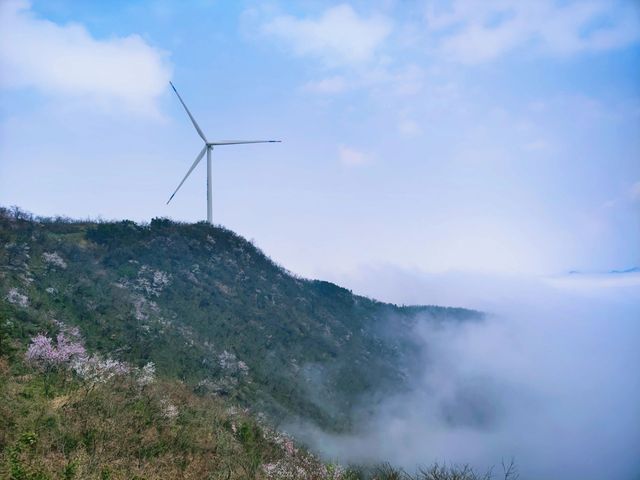 湖北咸寧葛仙山徒步｜感受野櫻肆意生長的美