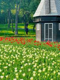 大寧公園｜50萬株鬱金香花海｜賞花地圖&攻略