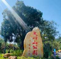 探索珠海尖峰山森林公園：原始森林與熱帶植物的奇妙之旅！