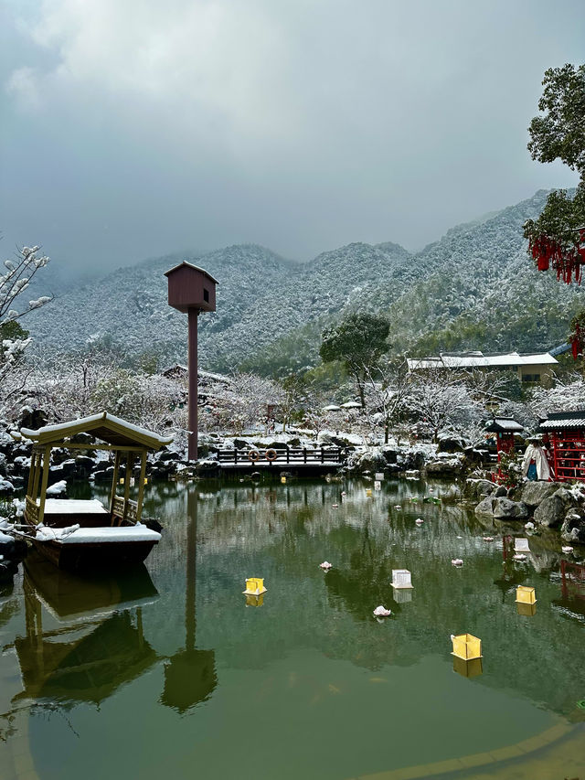 葛仙村：總有一場雪，為你而來