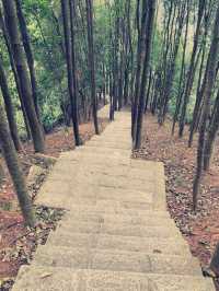 深圳徒步|週末來爬陽台山啦和我的爬山搭子日常