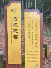 來慈溪必去五磊講寺！世界本無事一切在人心