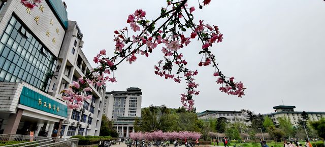 武漢大學