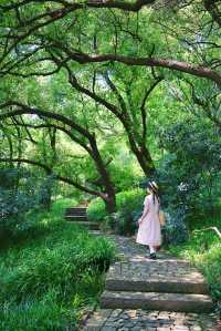 The Citywalk in Hangzhou is absolutely stunning‼️ One can see half the city in its mundane hustle and bustle, and the other half in its ethereal beauty~