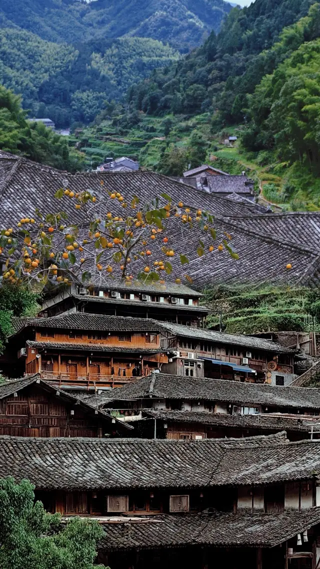 The hidden land, the secret realm of Jiangnan, Linkeng ancient village