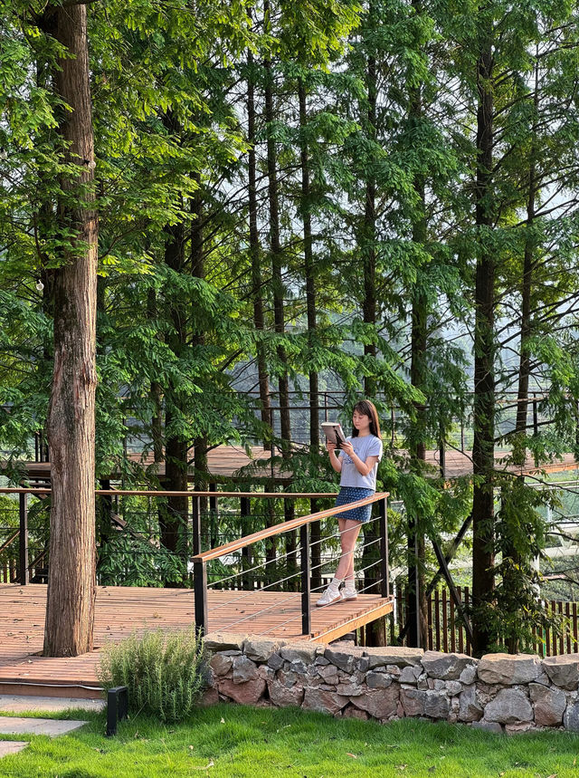 成都周邊！！找到了隱於山野茶園的夢中情院！！