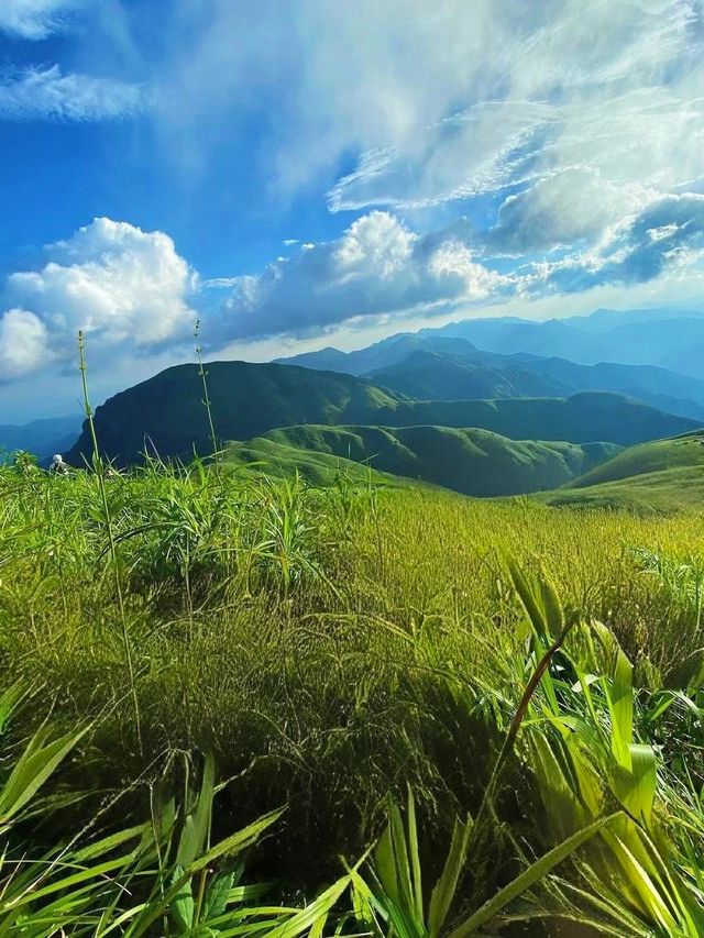 這輩子一定要來一下武功山