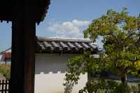 旅行去不一樣的奈良