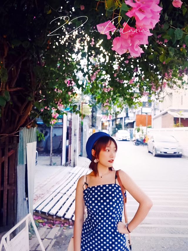 清邁春季city walk 賞花好去處適合春季旅行