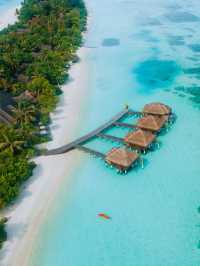 Maldives Magic: Lux* South Ari Atoll's Exotic Retreat 🏝️✨