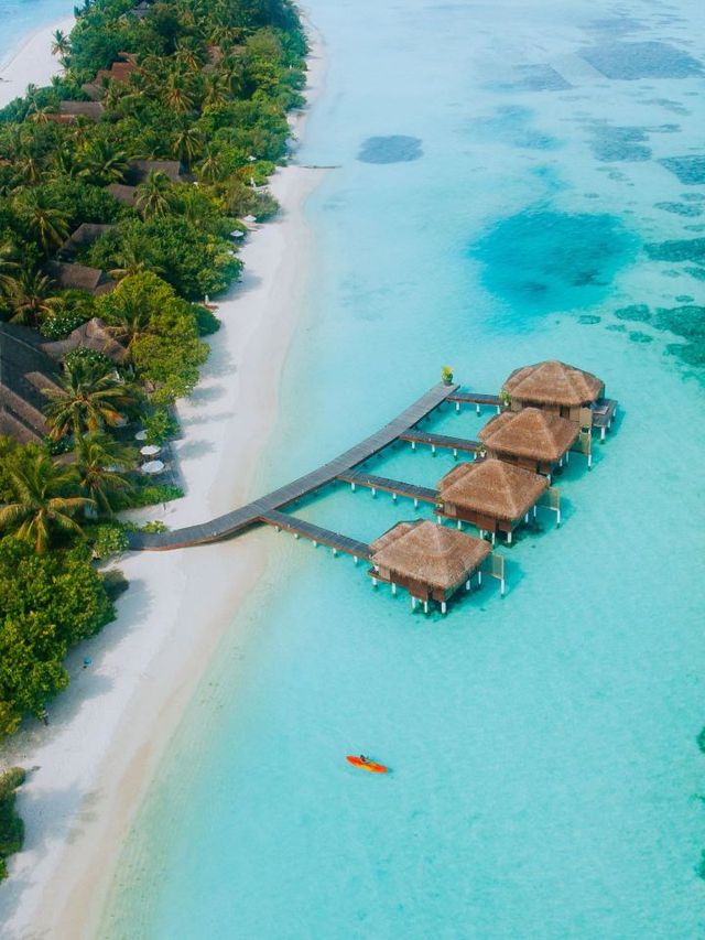 Maldives Magic: Lux* South Ari Atoll's Exotic Retreat 🏝️✨