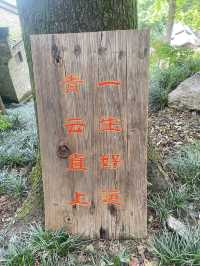 銅陵之行