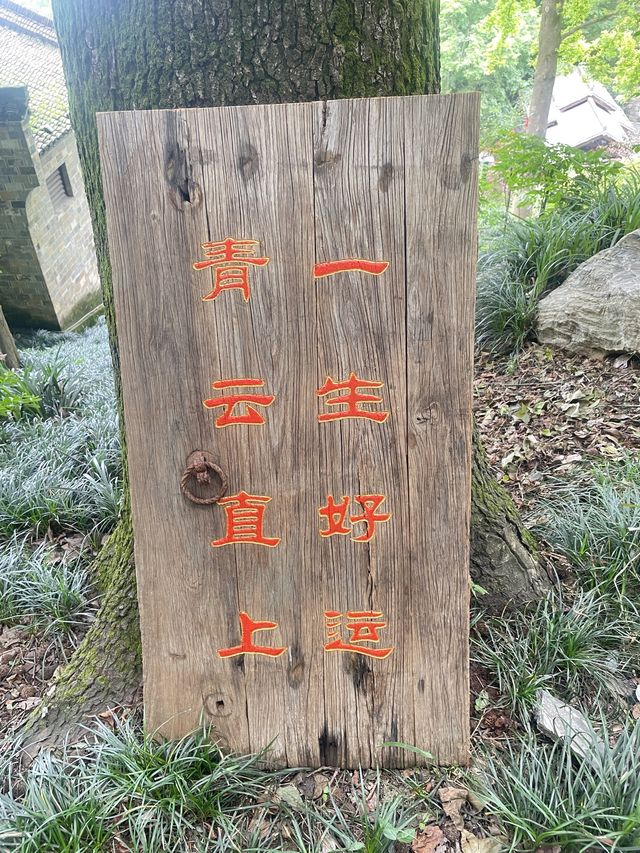 銅陵之行